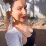 Aashka Goradia Instagram - Sunlit and Champa ❤️ . . . . . . . #champa #favourite #flower #forever