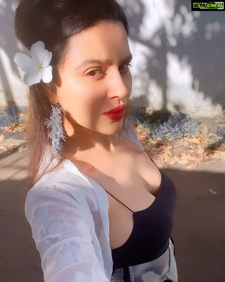 Aashka Goradia Instagram - Sunlit and Champa ❤️ . . . . . . . #champa #favourite #flower #forever