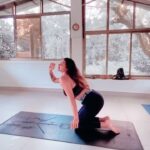 Aashka Goradia Instagram - सब्र - शुक्र 🙏🏽 . . . . . . #yoga #goa #yogashala #yogareels #ashtanga