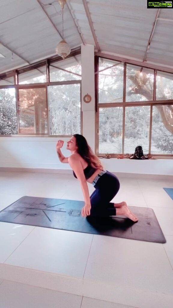 Aashka Goradia Instagram - सब्र - शुक्र 🙏🏽 . . . . . . #yoga #goa #yogashala #yogareels #ashtanga