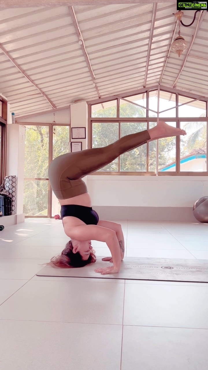 Aashka Goradia Instagram - Energy in the Shala brings it all back - strength, peace and focus. @peaceofblueyoga ❤️