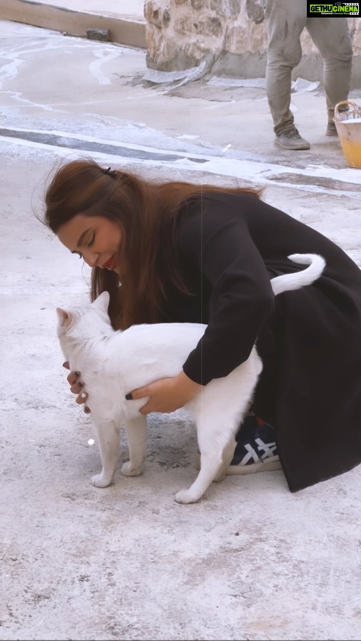 Aashka Goradia Instagram - Love in the streets of #Cappadocia 🤍🤍🤍