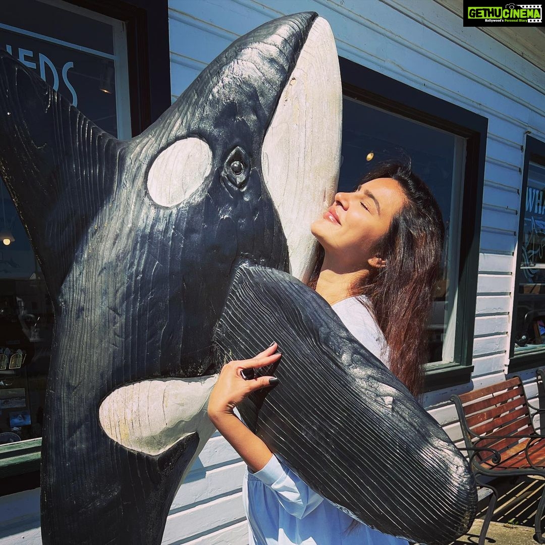 Aashka Goradia Instagram - It’s #OrcaThursday My daily dream is this picture ❤️ Their social sense and family bonds - warms my heart and the paragraph below will warm yours too. Our Marine Naturalist explained an Orca Funeral to us. As a pod travels together, the life cycle of an elder orca eventually comes to end. This isn’t sudden for the pod, as they are all emotionally intertwined. The elder orca will swim to absolute exhaustion, foregoing rest and the need to take a breath from above. Unable to swim to the surface, the pod will surround the elder and lift them to the surface for one final breath. Sharing one final moment together as a pod, they disperse gently allowing the elder to peacefully descend to their eternal place of rest below. ❤️ . . #Orca #KillerWhales #OrcaThursday #EmptyTheTanks #FreeThem #EndCaptivity #SalishSea #PacificNorthwest #Myheart #mylove #ilearnfromyou #porttownsend