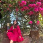 Adaa Khan Instagram - 🌺 makes me 😁 . . #photooftheday #ootd #fashion #style #fashionista #lookbook #stylefile #instagood #instadaily #fyp #fashionlikeadaa #adaakhan