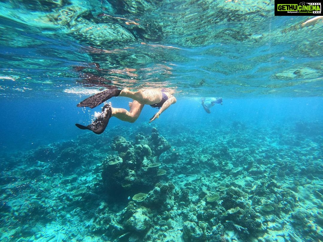 Adaa Khan Instagram - Diving into 23β All geared up πββοΈπ β₯οΈ . . #happynewyear #2023 #peace #happiness #gratitude π«Άπ»