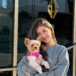Aditi Bhatia Instagram - my lil nephew 🐶🤭 Los Angeles, California