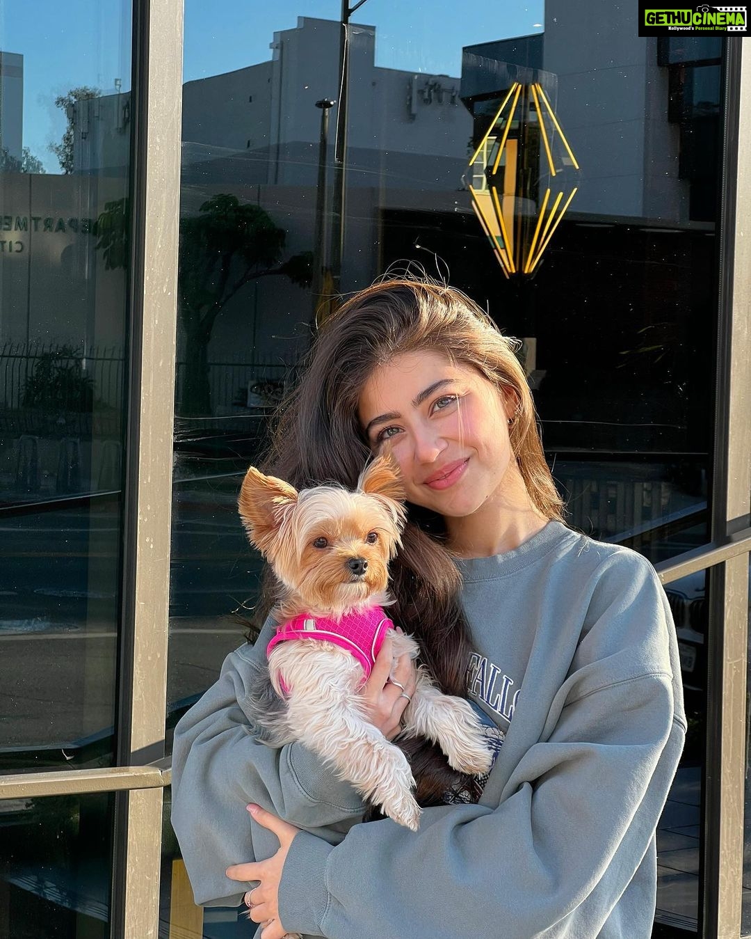 Aditi Bhatia Instagram - my lil nephew 🐶🤭 Los Angeles, California