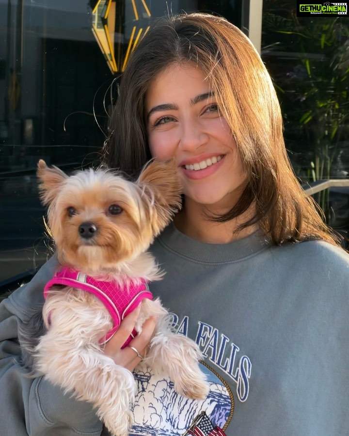 Aditi Bhatia Instagram - my lil nephew 🐶🤭 Los Angeles, California