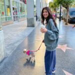 Aditi Bhatia Instagram - my lil nephew 🐶🤭 Los Angeles, California