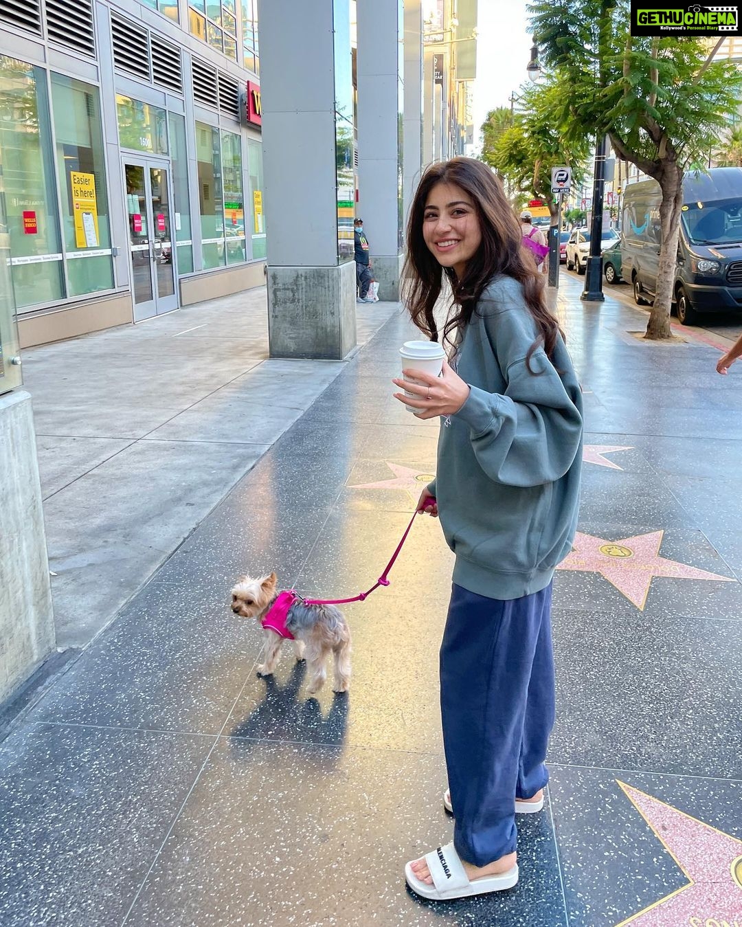 Aditi Bhatia Instagram - my lil nephew 🐶🤭 Los Angeles, California