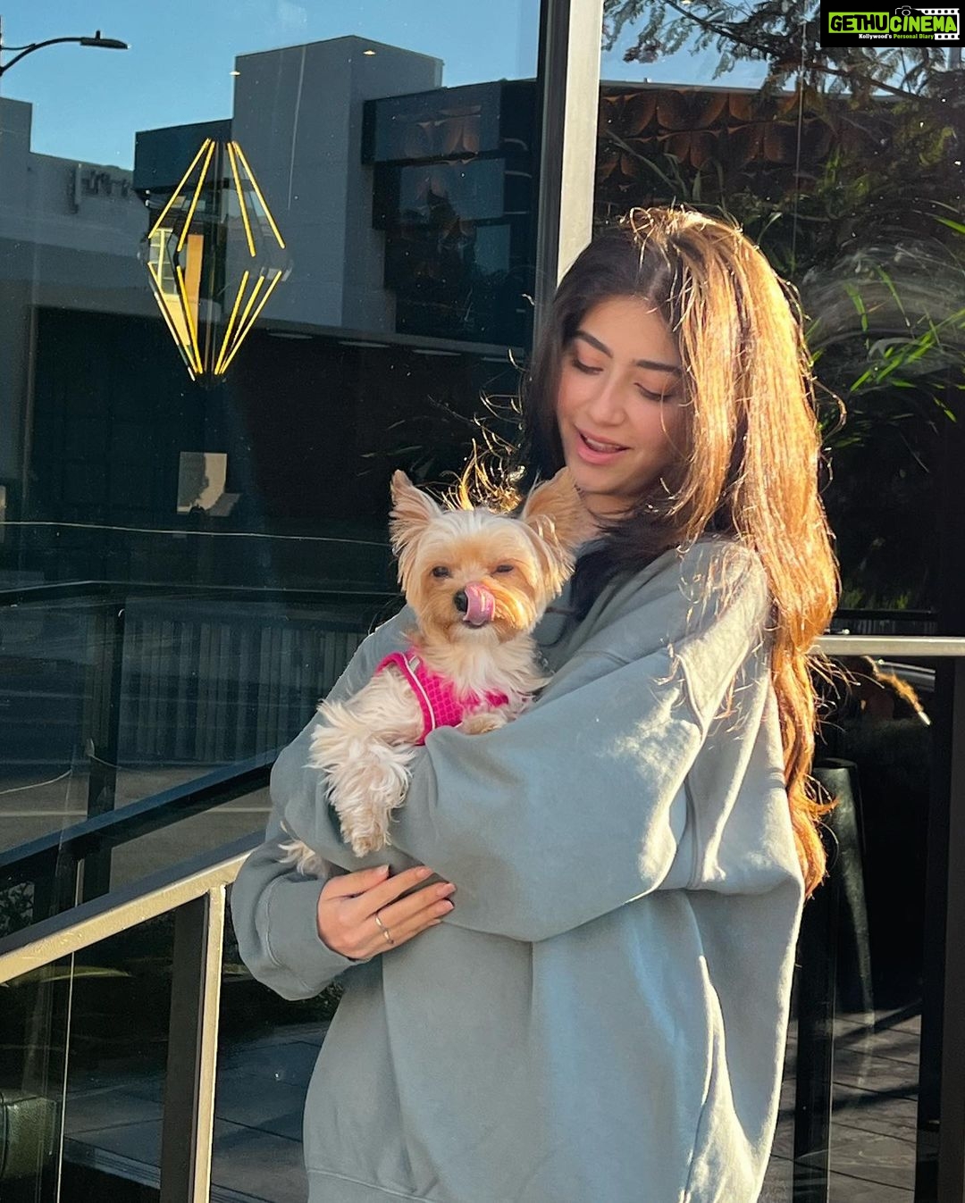 Aditi Bhatia Instagram - my lil nephew 🐶🤭 Los Angeles, California