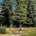 Aditi Bhatia Instagram - worth the drive 🐥 Big Bear Lake, California