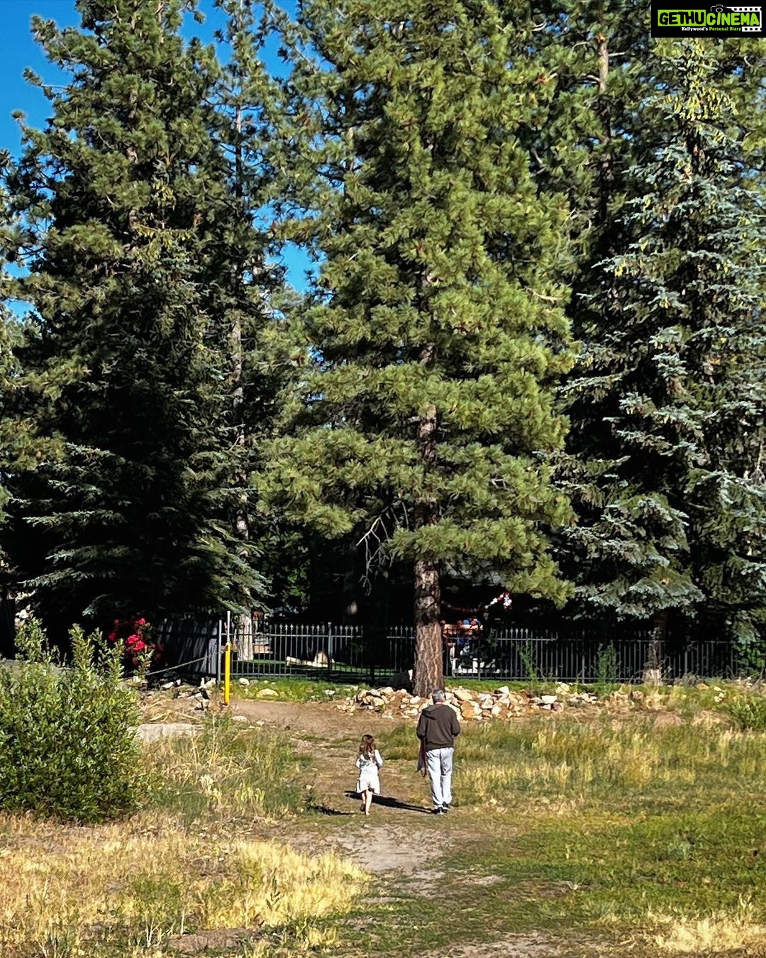 Aditi Bhatia Instagram - worth the drive 🐥 Big Bear Lake, California