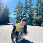 Aditi Bhatia Instagram - worth the drive 🐥 Big Bear Lake, California
