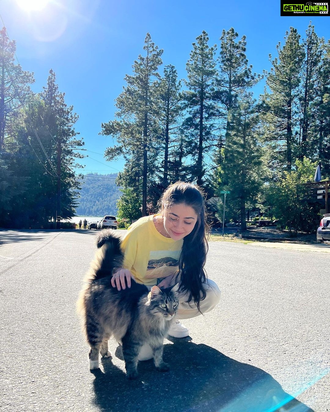 Aditi Bhatia Instagram - worth the drive 🐥 Big Bear Lake, California