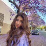 Aditi Bhatia Instagram - lavender highs 💜 Los Angeles, California