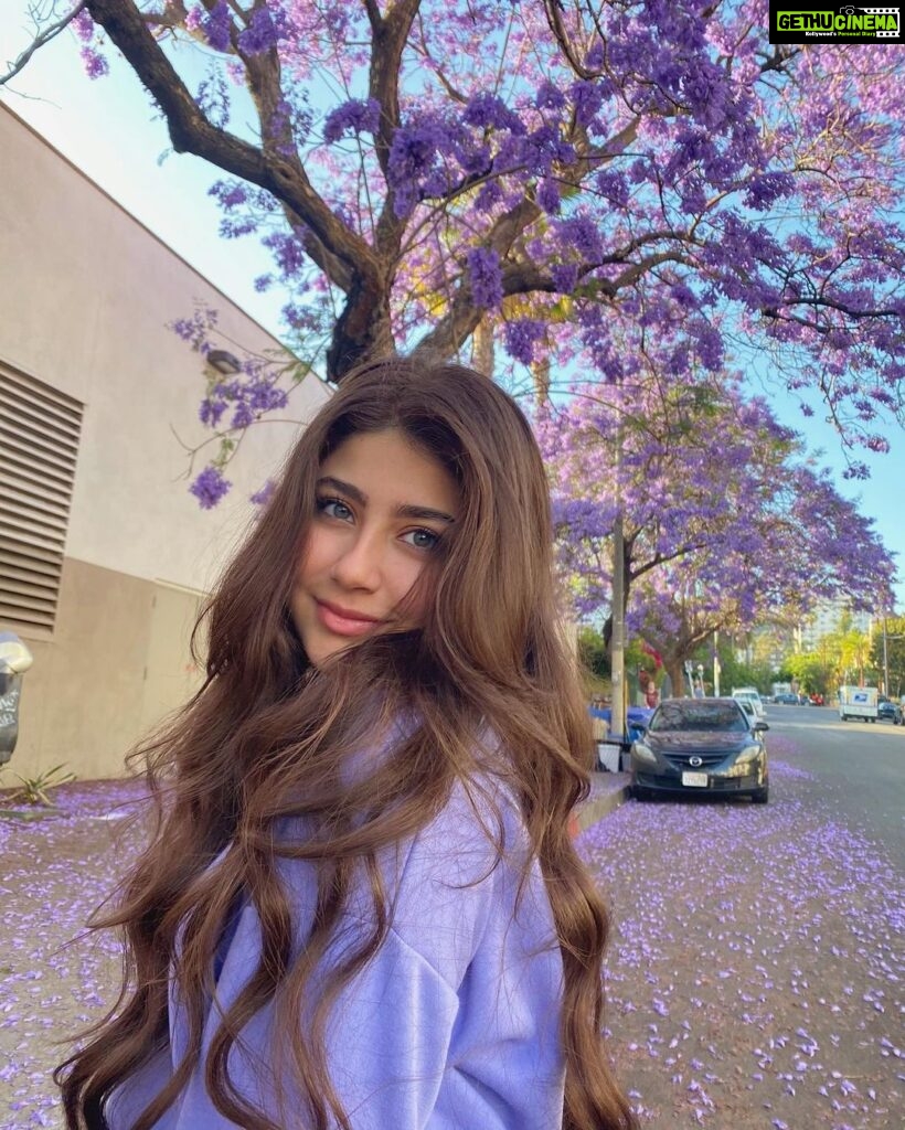Aditi Bhatia Instagram - lavender highs 💜 Los Angeles, California