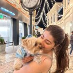 Aditi Bhatia Instagram - sweetest moments with the sweetest baby 🐶🫶🏻 Los Angeles, California