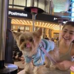 Aditi Bhatia Instagram - sweetest moments with the sweetest baby 🐶🫶🏻 Los Angeles, California