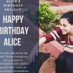 Alice Kaushik Instagram - A gift that has forever transformed the sheer meaning of gifts and blessings for me! That's what you guys, my #Alicians #Shivi #Raavi twitter fandom, my #Shivians and my have given me. :') It's almost surreal to know how well you guys know me and moreover, the projects that have been closest to my heart right from the beginning. By breathing life into them, you guys have made my birthday special in ways no one could have. Here I stand today, with my fire burning brighter and my will to support these causes stronger than ever, the credit for which, goes to each of you little munchkins. 🧚🏻‍♂️ You'll have been the wind beneath the wings of NGO's working towards the rehabilitation of animals, ensuring the best possible care for them. You'll turned 29th October into a reason to spread happiness, love and sparkles into the lives of little children like Santas on Christmas eve. And finally, you'll came together from different corners of the country to convey a heartfelt message co-written just for me! What more could I have asked for? This time around, it's you all and your collective efforts that have ended up inspiring me. 🙌 You guys are unicorns and angles in your own ways and I cannot thank you guys enough for doing this for me, for the animals and for humanity. 💖🦄 This is so special and I'm indebted for life. Or perhaps, an eternity. 💫 #RewardsLikeThese #MyArmyIsTheAbsoluteBest #BirthdaysHaveNeverFeltThisGood #TouchedAndMovedAndBeyondBlessed #ILoveYouAllSoMuch ❤️🙏🏻