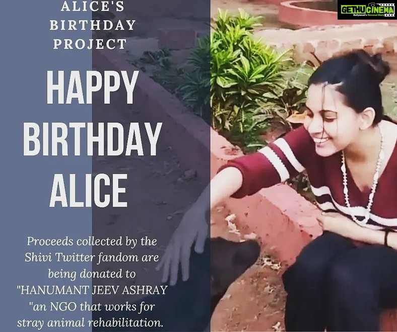 Alice Kaushik Instagram - A gift that has forever transformed the sheer meaning of gifts and blessings for me! That's what you guys, my #Alicians #Shivi #Raavi twitter fandom, my #Shivians and my have given me. :') It's almost surreal to know how well you guys know me and moreover, the projects that have been closest to my heart right from the beginning. By breathing life into them, you guys have made my birthday special in ways no one could have. Here I stand today, with my fire burning brighter and my will to support these causes stronger than ever, the credit for which, goes to each of you little munchkins. 🧚🏻♂️ You'll have been the wind beneath the wings of NGO's working towards the rehabilitation of animals, ensuring the best possible care for them. You'll turned 29th October into a reason to spread happiness, love and sparkles into the lives of little children like Santas on Christmas eve. And finally, you'll came together from different corners of the country to convey a heartfelt message co-written just for me! What more could I have asked for? This time around, it's you all and your collective efforts that have ended up inspiring me. 🙌 You guys are unicorns and angles in your own ways and I cannot thank you guys enough for doing this for me, for the animals and for humanity. 💖🦄 This is so special and I'm indebted for life. Or perhaps, an eternity. 💫 #RewardsLikeThese #MyArmyIsTheAbsoluteBest #BirthdaysHaveNeverFeltThisGood #TouchedAndMovedAndBeyondBlessed #ILoveYouAllSoMuch ❤️🙏🏻