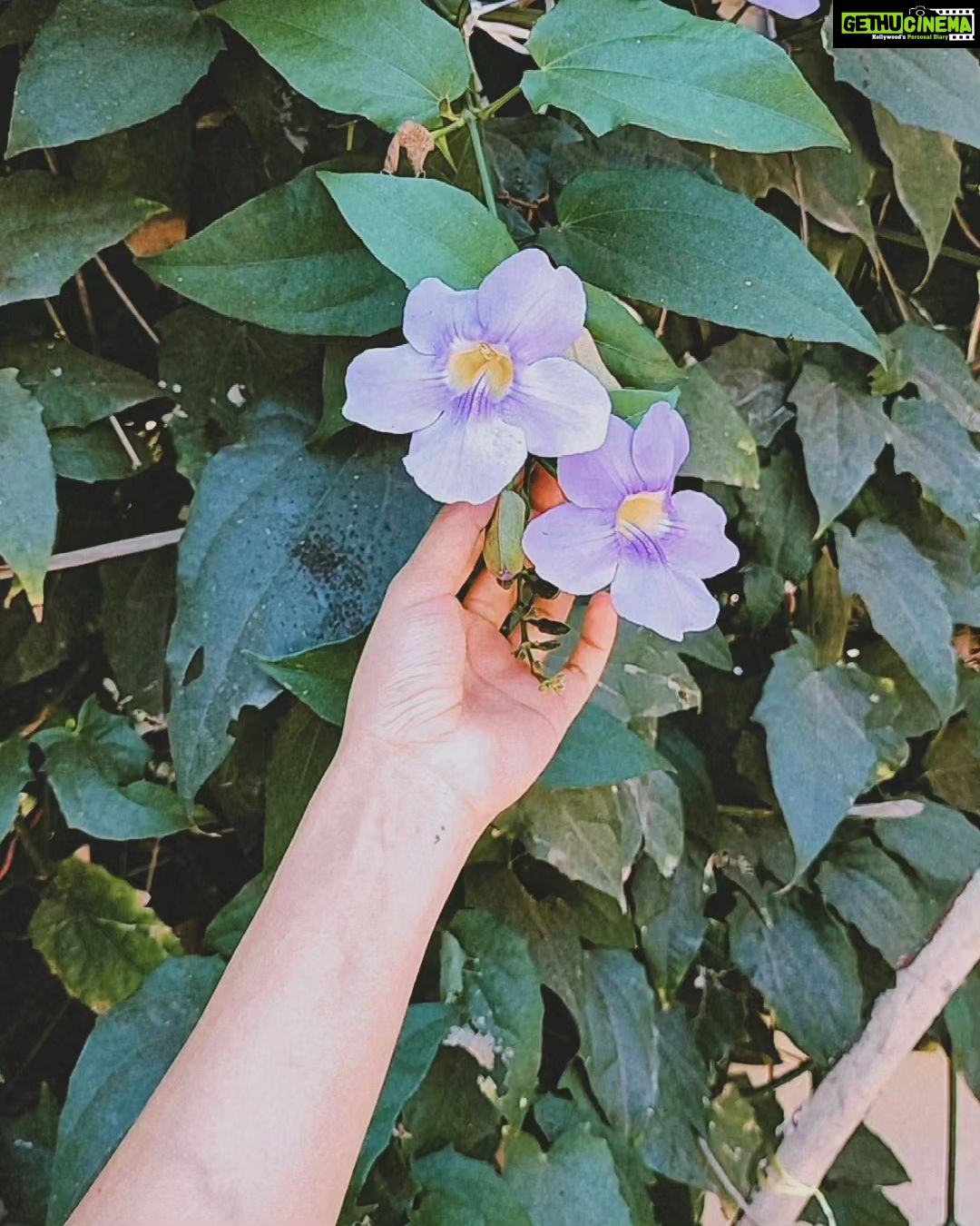 Alice Kaushik Instagram - Some feelings and a few people have the power to make us whole. Others are like weapons- Lethal guests that shatter our soul. Have you ever been so broken; That acid tears burn your hopes? Have you ever had the doubt; Chase the horizon or live like a ghost? When flowers bloom from a broken heart; From the labyrinths within its core. What essence do they have? How far their system can go? If you can hear me ,my darling I can tell you what I know. Some blossoms have the scent of melancholia Unable to reach the surface ( afraid to grow ). Others are bathed in new beginnings; Eager to reach the light of sun. - Clairel Estevez @clairelestevez #PhotuDump #TbtGoa #FlowerChild #wednesdaypoetry