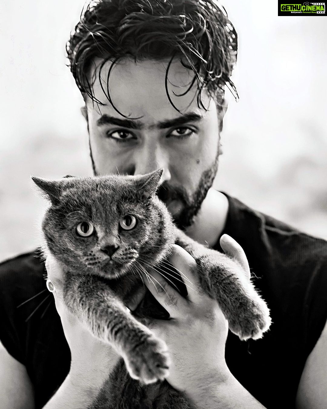 Aly Goni Instagram - Jordan ❤️🐈⬛ 📸 : @sumannandi21