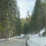 Amrapali Gupta Instagram - Drive in Yosemite… Dec 22nd ‘2022⭐️ #memories #we #create #eternity #horizon #usa🇺🇸 #california #nevada #music