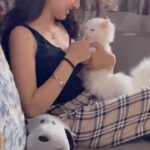 Anchal Sahu Instagram - Just drooling over him!🤍🧿✨ #tiger