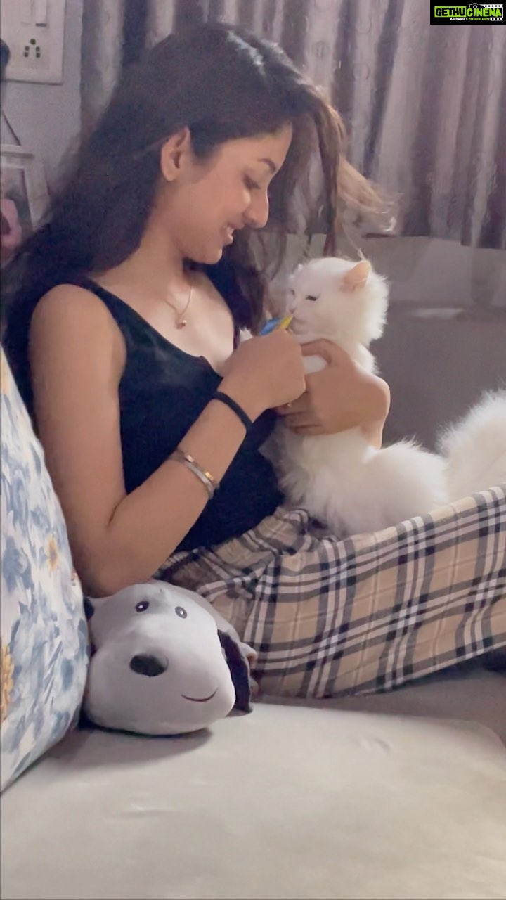 Anchal Sahu Instagram - Just drooling over him!🤍🧿✨ #tiger