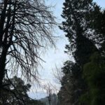 Anchal Sahu Instagram - Tum aadat bano humari Hum bigad jaayengee!! Mussoorie-Queen Of Hills