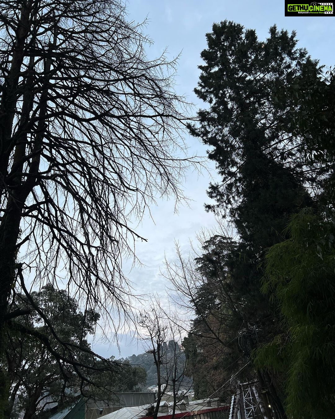 Anchal Sahu Instagram - Tum aadat bano humari Hum bigad jaayengee!! Mussoorie-Queen Of Hills