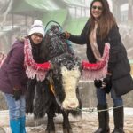 Anjum Fakih Instagram - The beautiful & The majestic #yak #gangtok #sikkim #anjumfakih Changu Lake Sikkim