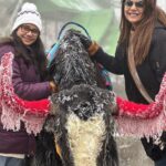 Anjum Fakih Instagram - The beautiful & The majestic #yak #gangtok #sikkim #anjumfakih Changu Lake Sikkim