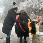 Anjum Fakih Instagram - The beautiful & The majestic #yak #gangtok #sikkim #anjumfakih Changu Lake Sikkim