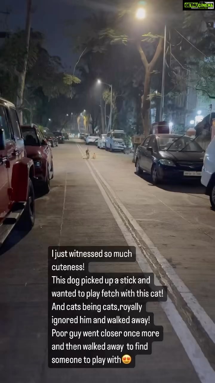 Ankita Bhargava Patel Instagram - Someone plz play with this doggie 😂🤣 @scoopwhoop @tedthestoner