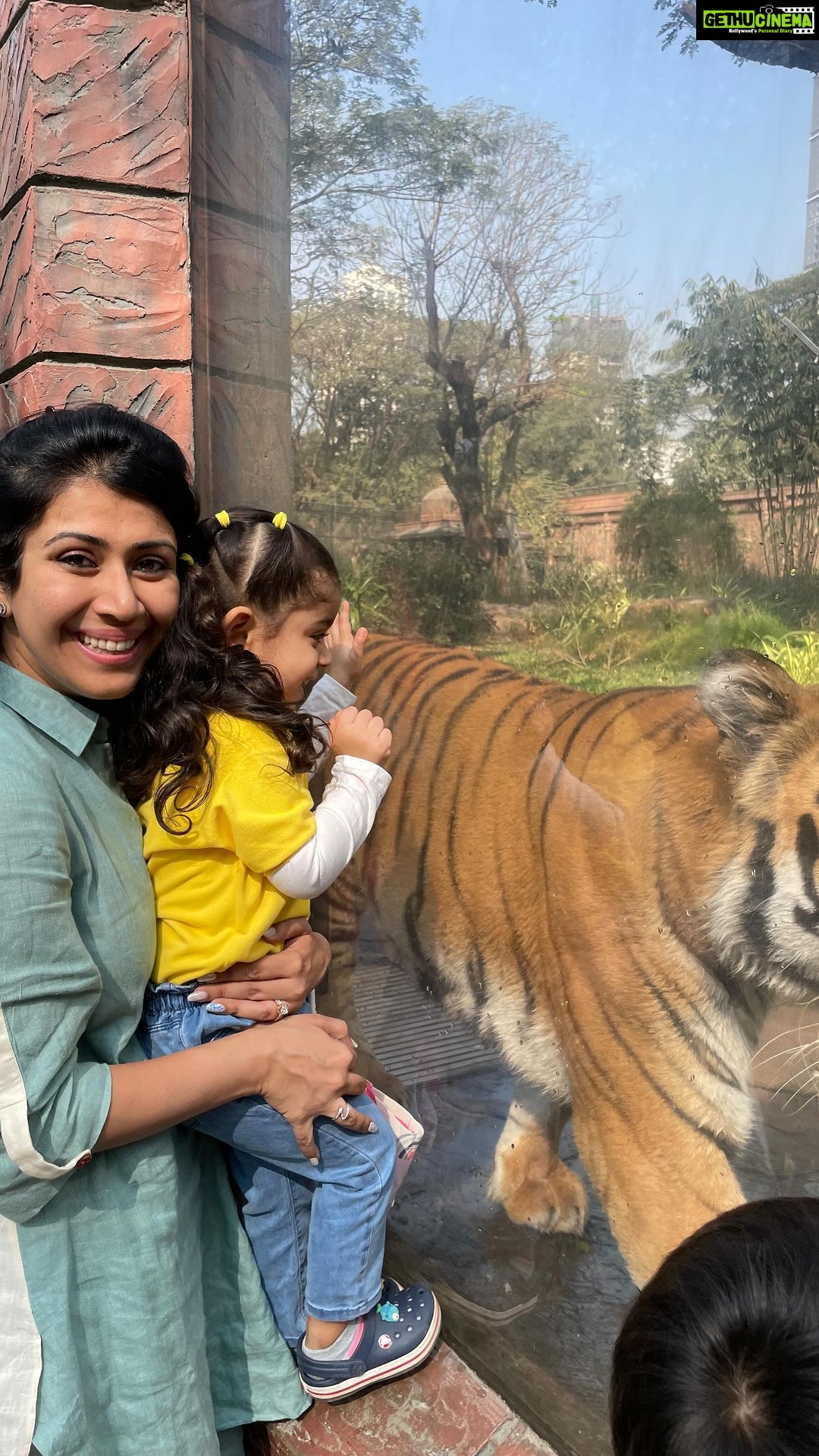 Ankita Bhargava Patel Instagram - Mumbai Zoo Byculla Was So Surprisingly World Class👍🏻 Mehr’s school arranged this field trip and it was such a pleasure to witness all the excitement in these toddlers ! 🌸The Zoo opens at 930am and we reached at 945 which was perfect since the crowd hadnt started coming in yet. Only kids from school majorly come at that time. 🌸We spent a good 3.5hrs including a relaxed lunch at the cafe ! 🌸Kids below 3 have free entry.For adults it was Rs 50/- only 🌸The washrooms were clean,Spacious and well maintained.There was also a child care room. 🌸There is a nice walk through cafe as well as a dine in cafe with multiple choices and good food decently priced. 🌸The Animal enclosures are also big and well maintained. 🌸The Tiger here is a proper showman ! He entertained the kids with his antics ! And so is this one penguin who was the showstopper and just cudnt stop flaunting his swimming chops ! 🌸We saw Deers,Turtles,Sloth Bear,Elephant,Tiger,Monkeys,Penguins,A variety of birds 🌸If u are interested in Botany then this place is also impressive botanical garden spread in an area of about 50 acres, I remember visiting this place as a Botany student in my Second year of Bsc. 🌸There is an aquatic birds aviary too. We saw Pelicans, flamingos, albino crows,Cranes, herons and storks in this aviary. 🌸There is a nice park near the exit for kids with nice and clean swings,slides,tunnels etc etc 🌸It is clean and spacious and thus I was happy seeing Mehr just soaking up the sun and exploring the space at her own pace and will ! P.S Dont miss Mehr wagging her pretend tail like The elephant she saw here and Walking like a penguin in the video 😜