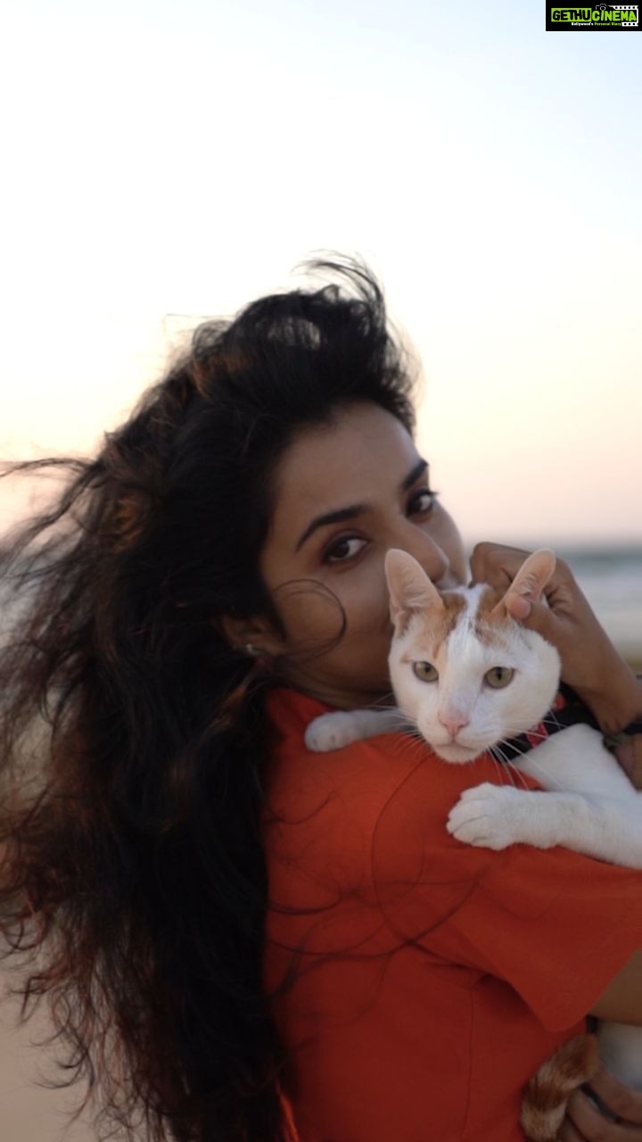 Ann Sheetal Instagram - Leo 😼 #ThanksbetomyGod #PraisebetomyGod #Blessed 🎥 @__finni__ #adoptdontshop #sonyalpha #sonycamera #dslr #beach #beachvibes #reels #reelit #reeltoreel #reelsinstagram #reelsinsta #reelindia #catsofinstagram #catmom #cats #catstagram #catlovers