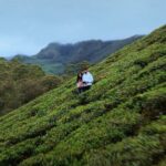 Ann Sheetal Instagram - Beautiful tea gardens in Munnar! . Full episode is on YouTube Kerala series. Link in bio.