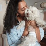 Anupriya Goenka Instagram - Sugar, it’s been a year today. We are still learning to live, without you being physically around.. not a day goes by without missing you. You taught us so much, in living, in parting and there after. Love you sugar, so so much and I know you will be back with us again soon. Today I am gonna dance for you baby, for us! Love you. ♥️ #sugar #mybaby
