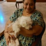Anupriya Goenka Instagram - Sugar, it’s been a year today. We are still learning to live, without you being physically around.. not a day goes by without missing you. You taught us so much, in living, in parting and there after. Love you sugar, so so much and I know you will be back with us again soon. Today I am gonna dance for you baby, for us! Love you. ♥️ #sugar #mybaby