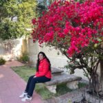 Anurita Jha Instagram - U know when ur loved… #2023diaries started like this… #justaglimpse … . . . . . . #photodump #traveller #hiker #seeker #anurittakjha