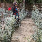 Aparajita Auddy Instagram - আনন্দ