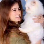 Arishfa Khan Instagram - My angel MAU🐾🤍 . #myangel #arishfakhan #mau #arishfapets #catsofinstagram #love #bond #persiancat #reels #reelsinstagram #reelitfeelit