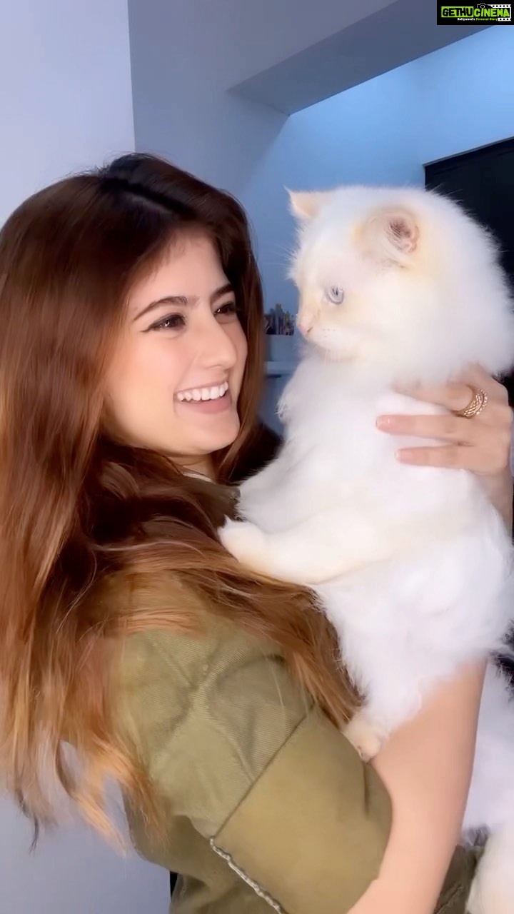 Arishfa Khan Instagram - My angel MAU🐾🤍 . #myangel #arishfakhan #mau #arishfapets #catsofinstagram #love #bond #persiancat #reels #reelsinstagram #reelitfeelit