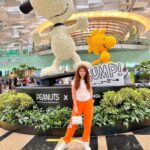 Arishfa Khan Instagram – Caption please! 🧡🖤🤍 Singapore Airport T3