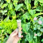 Arishfa Khan Instagram – LOOK GOOD FEEL GOOD🌸🌿

Mishy Me ⭐️ BB Cream is perfect for people across all age groups and for all skin types, this unisex 👫🏼 product is designed to make skincare affordable and available to everyone✨

Benefit of Mishy Me BB Cream.❤️
1: Instant Brightness
2: Sun Protection
3: Evens out skin tone
4: Makes you look great on Camera.🤩

And all you budding creators out there..this is the best product for you all. Look amazing in your reels and photo shoots.🪄

Get yours now in just 180/- rupees from www.Mishy.me or #amazon 🫶🏻

#MishyMe #realisrare #arishfakhan #lookgoodfeelgood #alwaysmishyme #mishymebbcream #bbcream #mishymebyarishfakhan #sulpatefree #parabenfree #beauty #makeup Gardens by the Bay