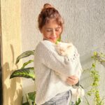 Arishfa Khan Instagram - You are my FURshine!! 🐾☀️💖