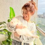 Arishfa Khan Instagram - You are my FURshine!! 🐾☀️💖