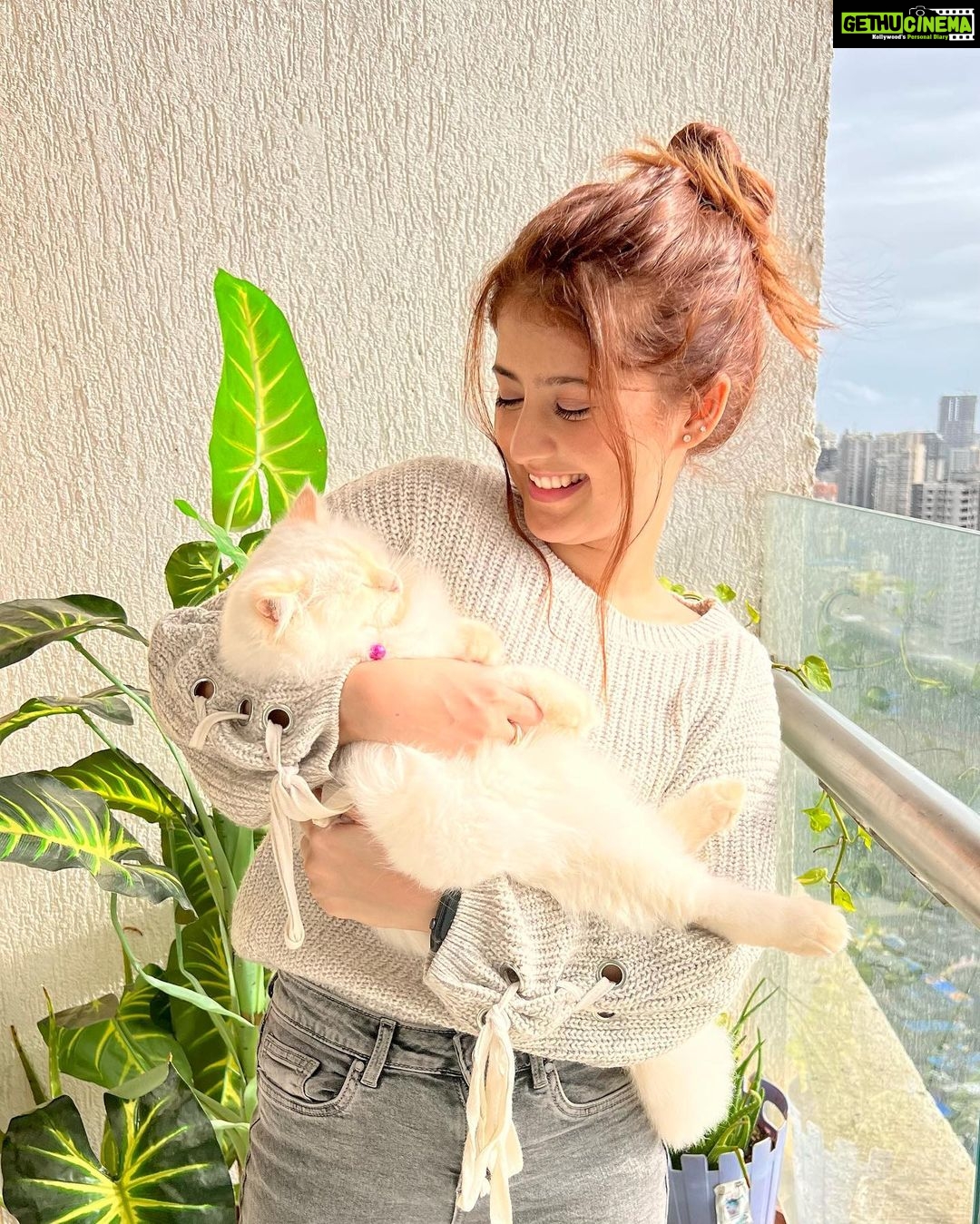 Arishfa Khan Instagram - You are my FURshine!! 🐾☀️💖